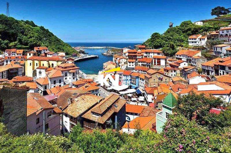 bc省提名移民{加拿大BC省投资移民项目一枝独秀}