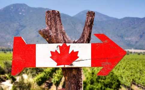 加拿大新移民子女入学（加拿大低收入新移民人口趋减缅省和沙省尤为明显）